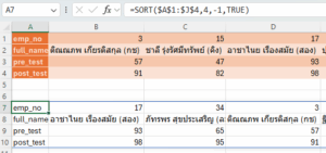 การใช้ฟังก์ชัน SORT ใน Excel – excel·a·vista